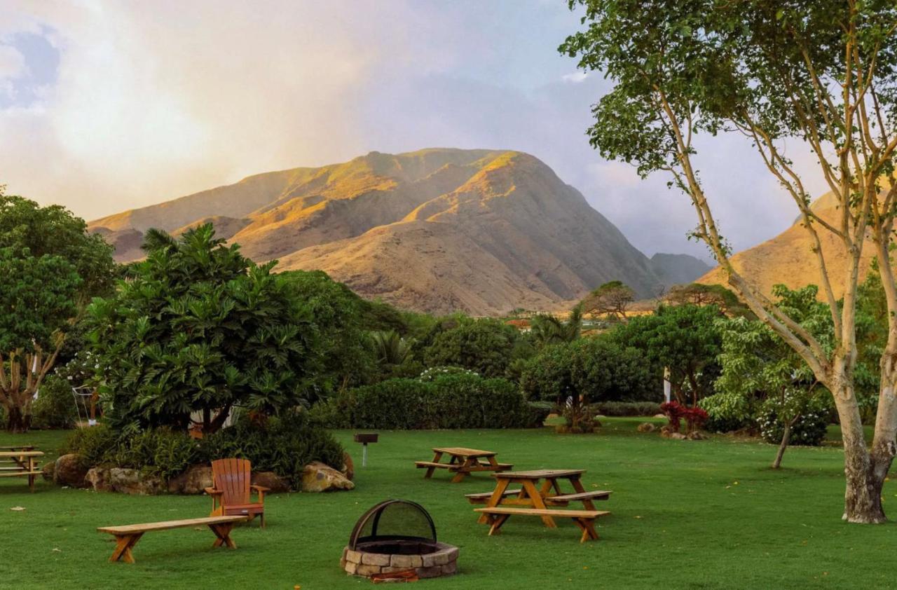Aloha Glamp's Maui Rooftop Adventure Paia Exterior photo