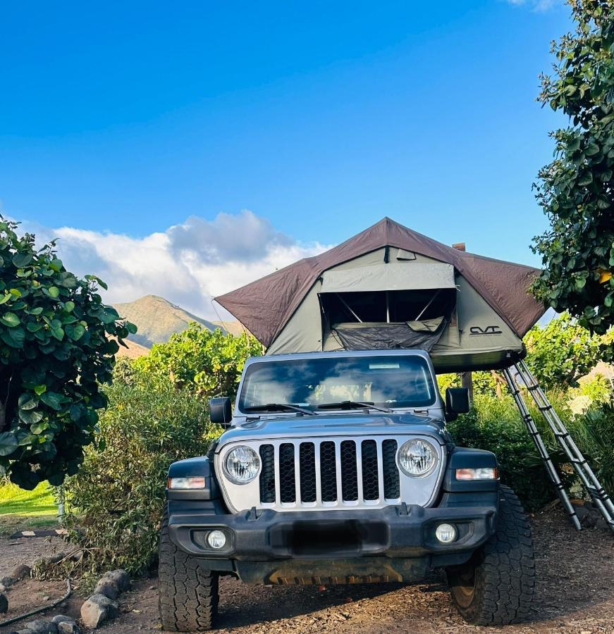 Aloha Glamp's Maui Rooftop Adventure Paia Exterior photo